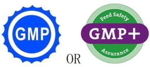 中國GMP與cGMP比較，淺談兩者的區(qū)別和要求側(cè)重點