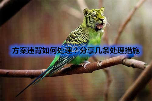 方案違背如何處理？分享幾條處理措施