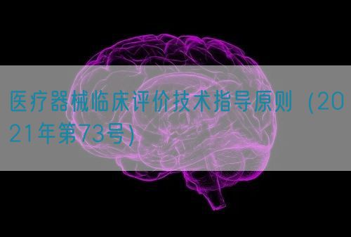 醫(yī)療器械臨床評價技術(shù)指導原則（2021年第73號）
