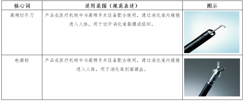 軟性內窺鏡用高頻手術器械注冊審查指導原則（征求意見稿）(圖2)