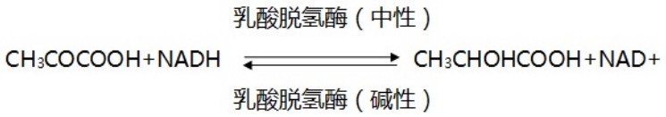 乳酸脫氫酶測定試劑盒注冊技術(shù)審查指導(dǎo)原則(2016年第29號)(圖1) 乳酸脫氫酶測定試劑盒注冊技術(shù)審查指導(dǎo)原則(2016年第29號)(圖1)