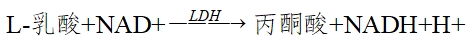 乳酸脫氫酶測定試劑盒注冊技術(shù)審查指導(dǎo)原則(2016年第29號)(圖7) 乳酸脫氫酶測定試劑盒注冊技術(shù)審查指導(dǎo)原則(2016年第29號)(圖7)