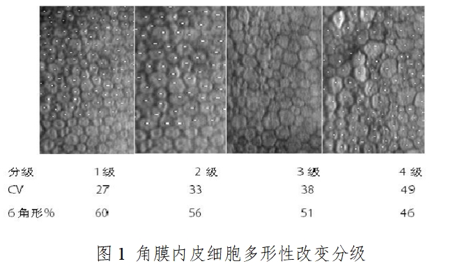 軟性接觸鏡臨床試驗(yàn)指導(dǎo)原則(2018年第51號(hào))(圖3) 軟性接觸鏡臨床試驗(yàn)指導(dǎo)原則(2018年第51號(hào))(圖3)