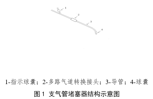 支氣管堵塞器注冊(cè)審查指導(dǎo)原則(2024年第19號(hào))(圖1) 支氣管堵塞器注冊(cè)審查指導(dǎo)原則(2024年第19號(hào))(圖1)