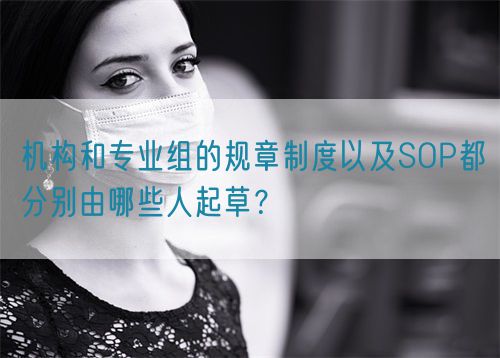 機(jī)構(gòu)和專(zhuān)業(yè)組的規(guī)章制度以及SOP都分別由哪些人起草？(圖1)