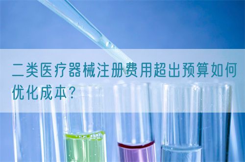 二類(lèi)醫(yī)療器械注冊(cè)費(fèi)用超出預(yù)算如何優(yōu)化成本？(圖1)