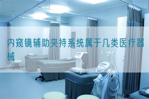 內窺鏡輔助夾持系統(tǒng)屬于幾類醫(yī)療器械(圖1)