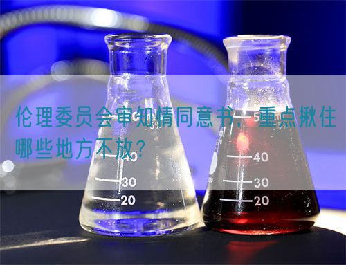 倫理委員會審知情同意書，重點揪住哪些地方不放？(圖1)