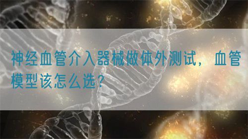 神經(jīng)血管介入器械做體外測(cè)試，血管模型該怎么選？(圖1)