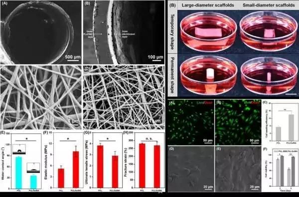 生物相容性是什么？如何準(zhǔn)備生物相容性檢測(cè)的樣品？(圖2)