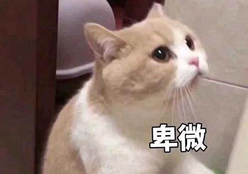 無經(jīng)驗(yàn)怎么入行CRA？入行CRA的硬性條件有哪些？(圖3)
