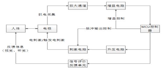 肌電生物反饋治療儀注冊(cè)技術(shù)審查指導(dǎo)原則(2019年第79號(hào))(圖3) 肌電生物反饋治療儀注冊(cè)技術(shù)審查指導(dǎo)原則(2019年第79號(hào))(圖3)