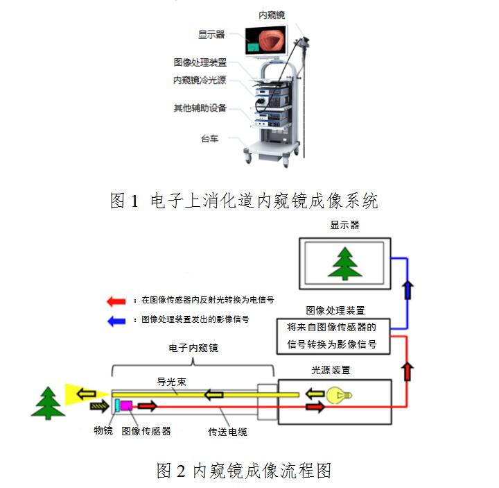 電子上消化道內(nèi)窺鏡注冊(cè)技術(shù)審查指導(dǎo)原則(2020年第87號(hào))(圖2) 電子上消化道內(nèi)窺鏡注冊(cè)技術(shù)審查指導(dǎo)原則(2020年第87號(hào))(圖2)