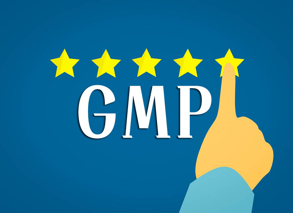 GMP知識(shí)手冊(cè)匯總（GMP專員、企業(yè)生產(chǎn)質(zhì)量負(fù)責(zé)人必備）(圖1)
