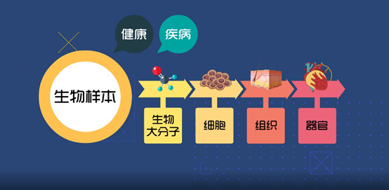 淺談CRC生物樣本管理！生物樣本采集、處理、存儲、運輸全過程注意事項(圖1)