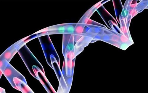 生物相容性是什么意思？怎么判斷醫(yī)療器械要做哪些生物相容性測試項目？(圖1)
